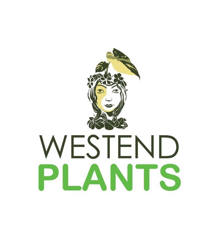 Imran Abul Kashem: Founder of Westend plants